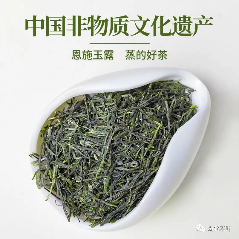 湖北茶叶网赴“蓝焙”考“茶”