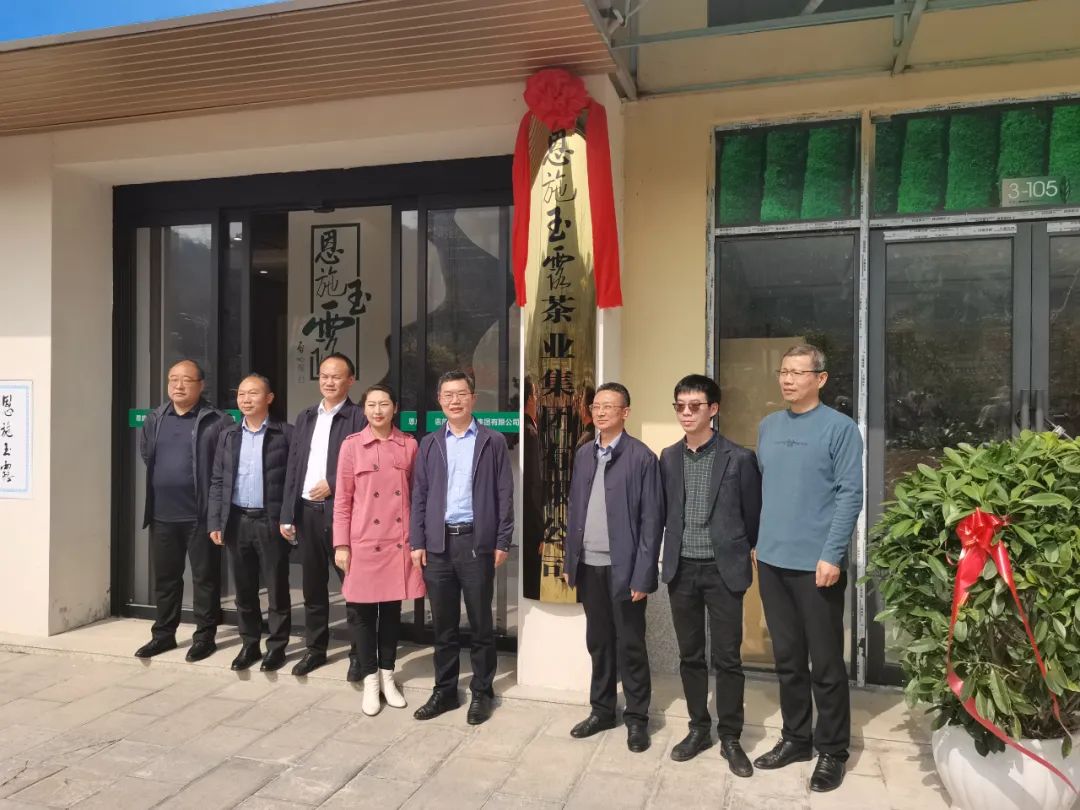 恩施玉露茶业集团有限公司挂牌成立
