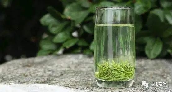 湖北茶叶网