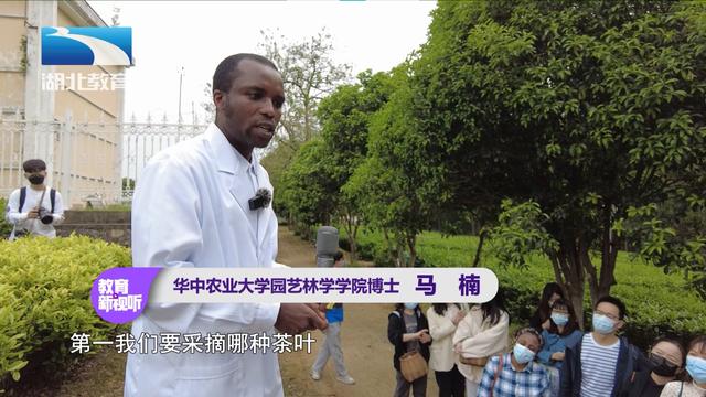 湖北茶叶网（www.hbtea.cn）