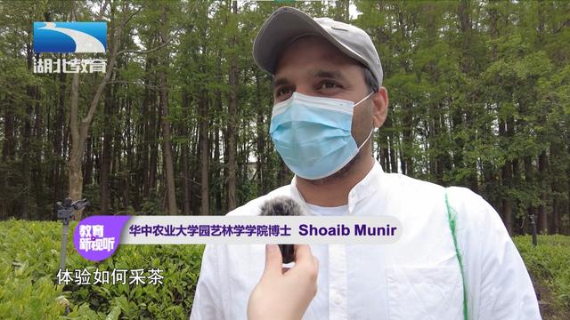 湖北茶叶网（www.hbtea.cn）