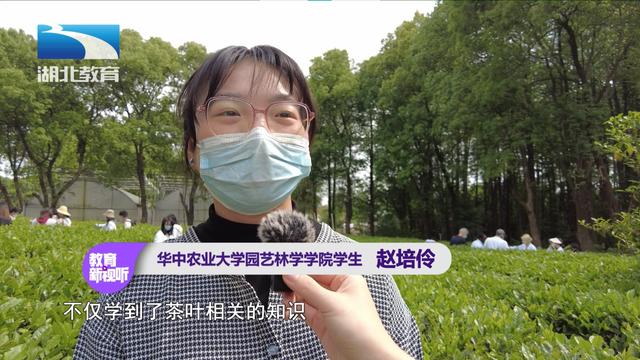湖北茶叶网（www.hbtea.cn）