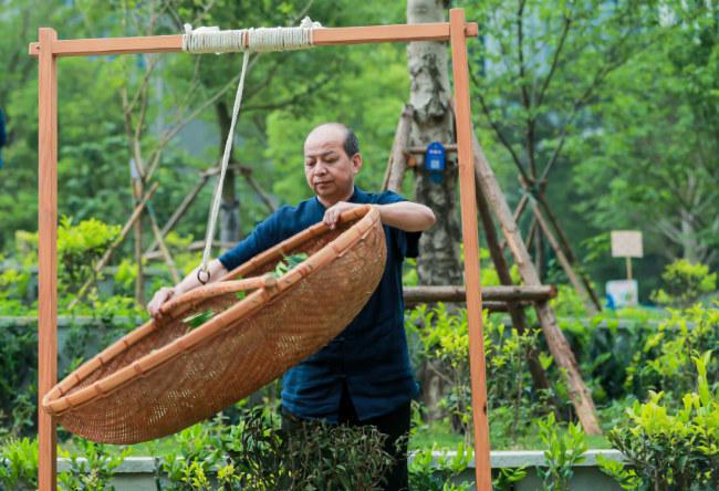 360se_picture (14).jpg