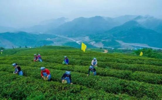 360se_picture (15).jpg