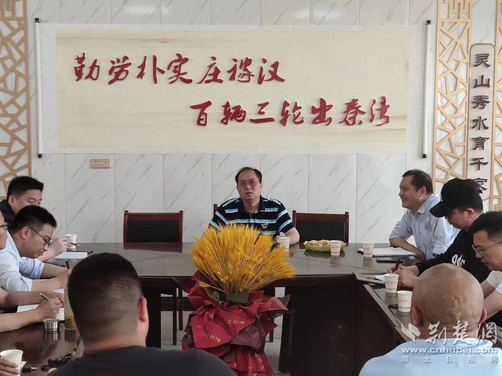 湖北茶叶网消息 湖北茶叶网消息