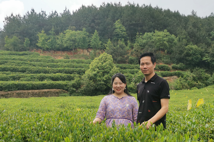 雾云山茶业负责人张芬女士与湖北茶叶网总编李锐先生 雾云山茶业负责人张芬女士与湖北茶叶网总编李锐先生