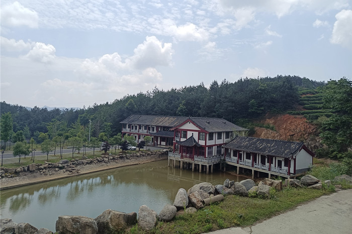 湖北茶叶网考察蕲春雾云山茶厂 湖北茶叶网考察蕲春雾云山茶厂