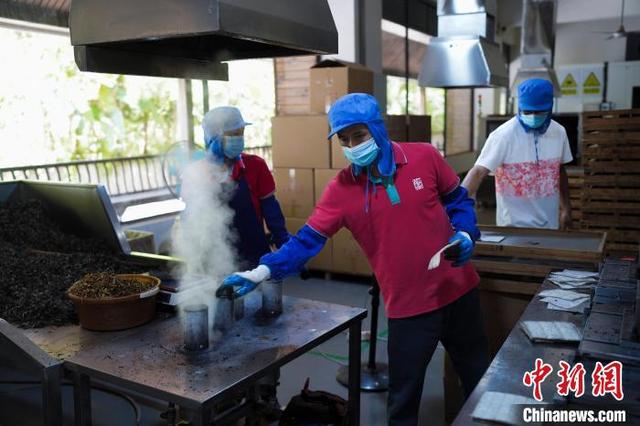 云南“以茶为媒” 打开与世界交流的窗口