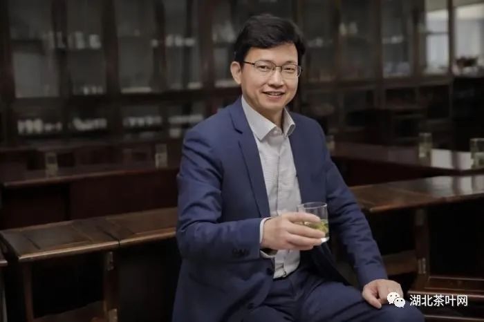中国国际茶文化研究会副会长、浙江大学茶叶研究所所长王岳飞。中新社发 受访者供图