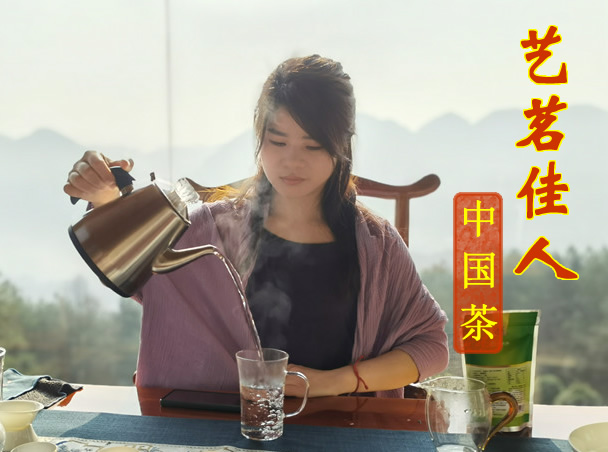 “艺茗佳人”启动品牌产品，易武（生、熟）普洱发行