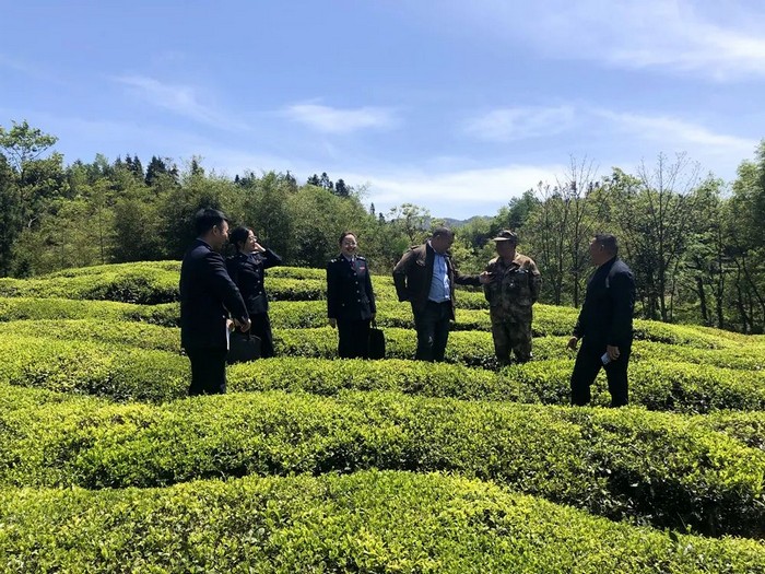 6369b44c0cf2f4c8ae6c4c93