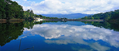 普洱思茅区：党建引领打好“五张牌”推动茶产业发展