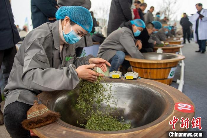 参赛选手杨惠芳正在进行嫩茶叶杀青。　刘忠俊 摄