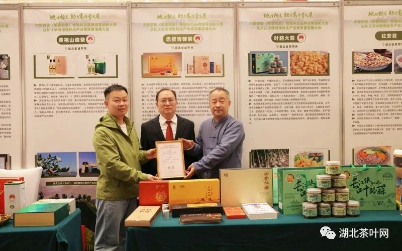 中部四省地理标志品牌培育创新大赛“赤壁青砖茶”获金奖。田红云摄