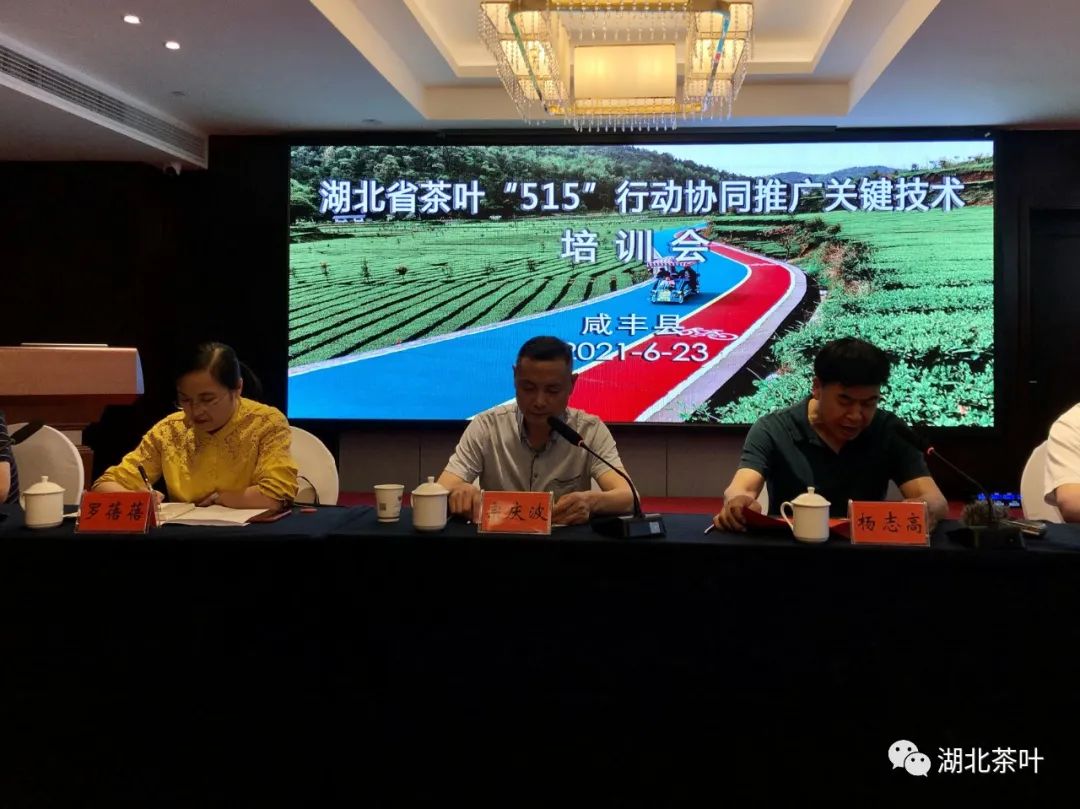湖北省茶叶“515”行动协同推广关键技术现场推进会在咸丰举行
