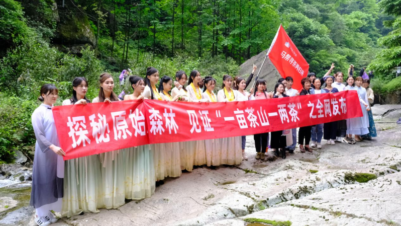 茶叶综合年产值达10亿元，中国工程院院士为湖南新化红茶代言