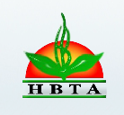 湖北省茶叶协会(HBTEA)