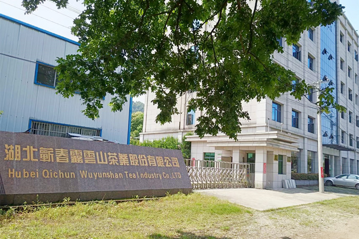 湖北茶叶网团队考察蕲春雾云山茶厂