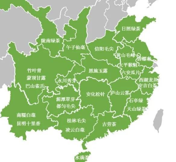 【绿茶对冲评测】湖北恩施玉露对比浙江龙井茶