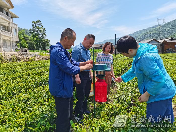 田间地头 解民忧 ——恩施州农科院下基层、察民情、解民忧、暖民心实践活动掠影