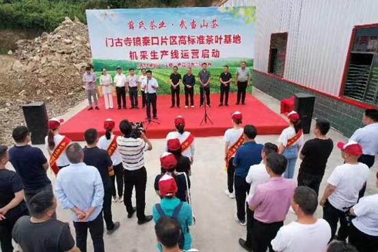 湖北省房县门古寺：提升茶产业 助推乡村振兴发展