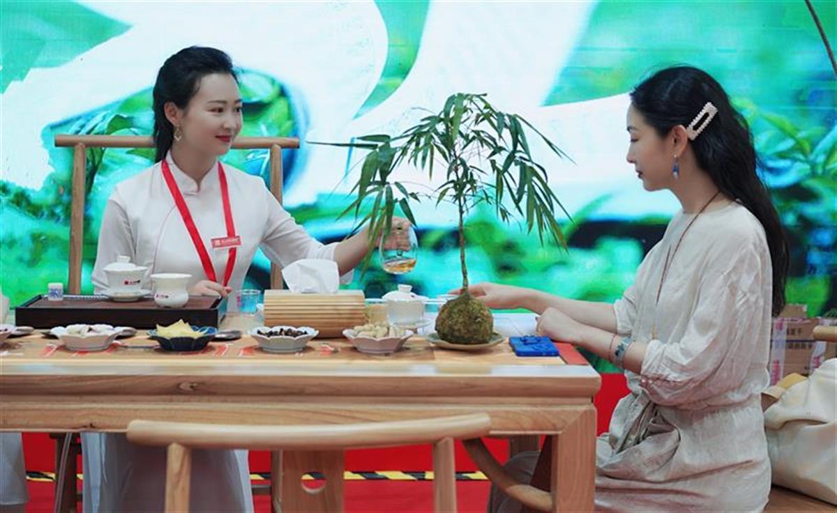 利川红领衔20家茶企组团亮相武汉茶博会