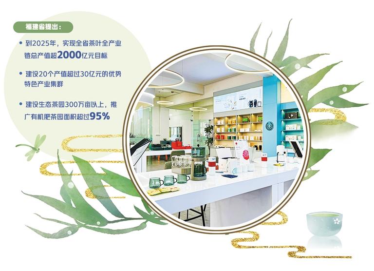 闽茶开启“年轻化”探索 与市场积极对话