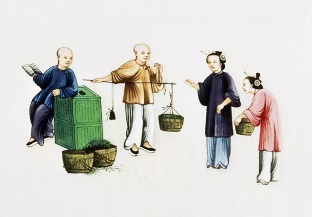 中国茶叶简史，一片树叶的前世今生