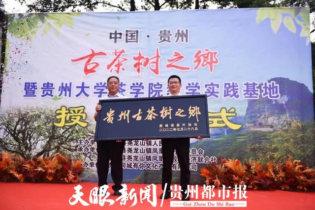省茶叶协会授予尧龙山会镇“古茶树之乡”称号