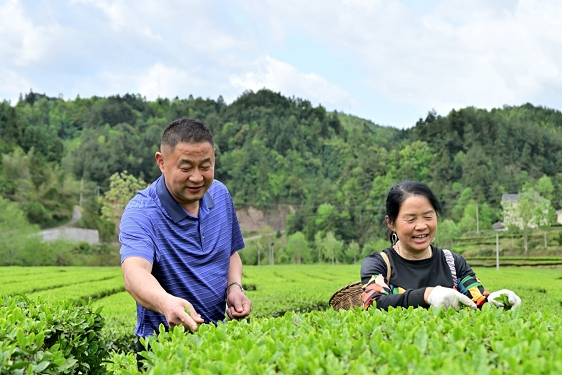 龙维明：“维明”代表一心为民