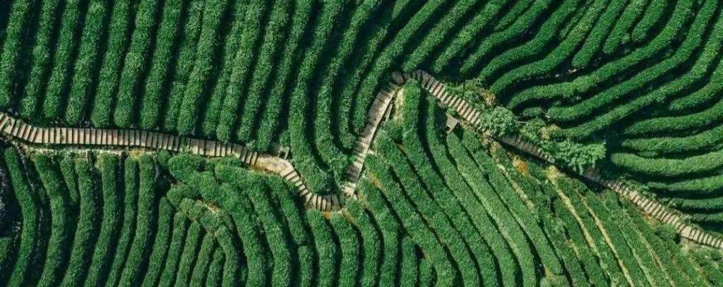 万元大奖，等你来赛！ 