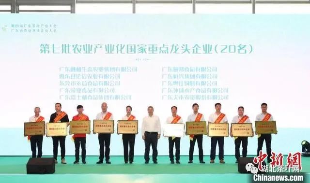 广东加快茶产业转型升级 综合效能跃上新台阶