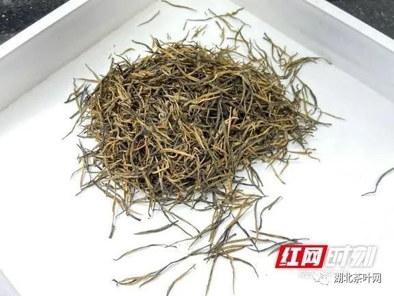 湘西州黄金茶红茶在全国红茶斗茶赛上获特别金奖