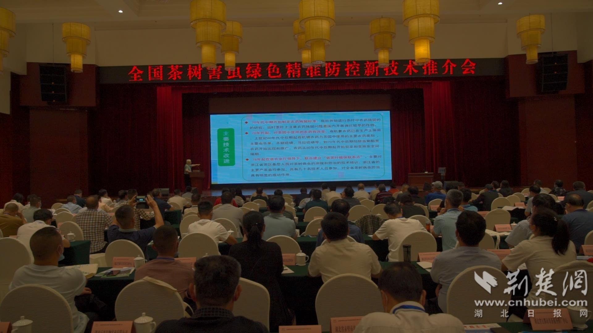 齐聚湖北五峰！专家农企推广茶树虫害防治新技术