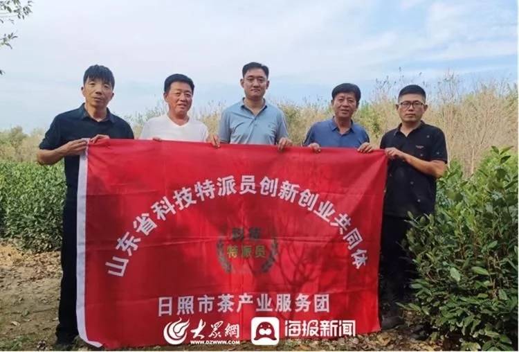 日照市茶产业服务团开展科技服务活动