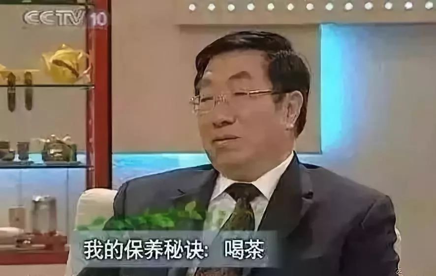 聪明的树叶，CCTV这么说