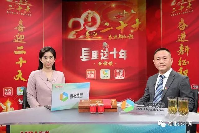 湖北来凤：千年历史“小”藤茶 农村环境“大”变化