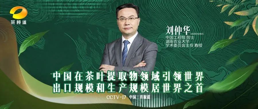 “三农”这十年：刘仲华院士讲述中国茶叶深加工领域十年发展