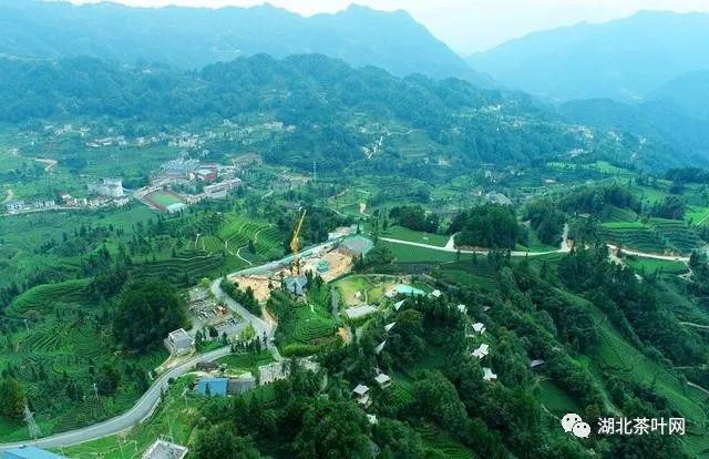 湖北夷陵：三峡茶旅小镇建设驶入“快车道”