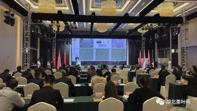 “一带一路”中国·荣县茶产业向国际伸出橄榄枝 印尼、越南等多国驻华使节及茶商到来