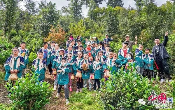 云南：“小小茶农”深入茶山 体验非遗制茶文化
