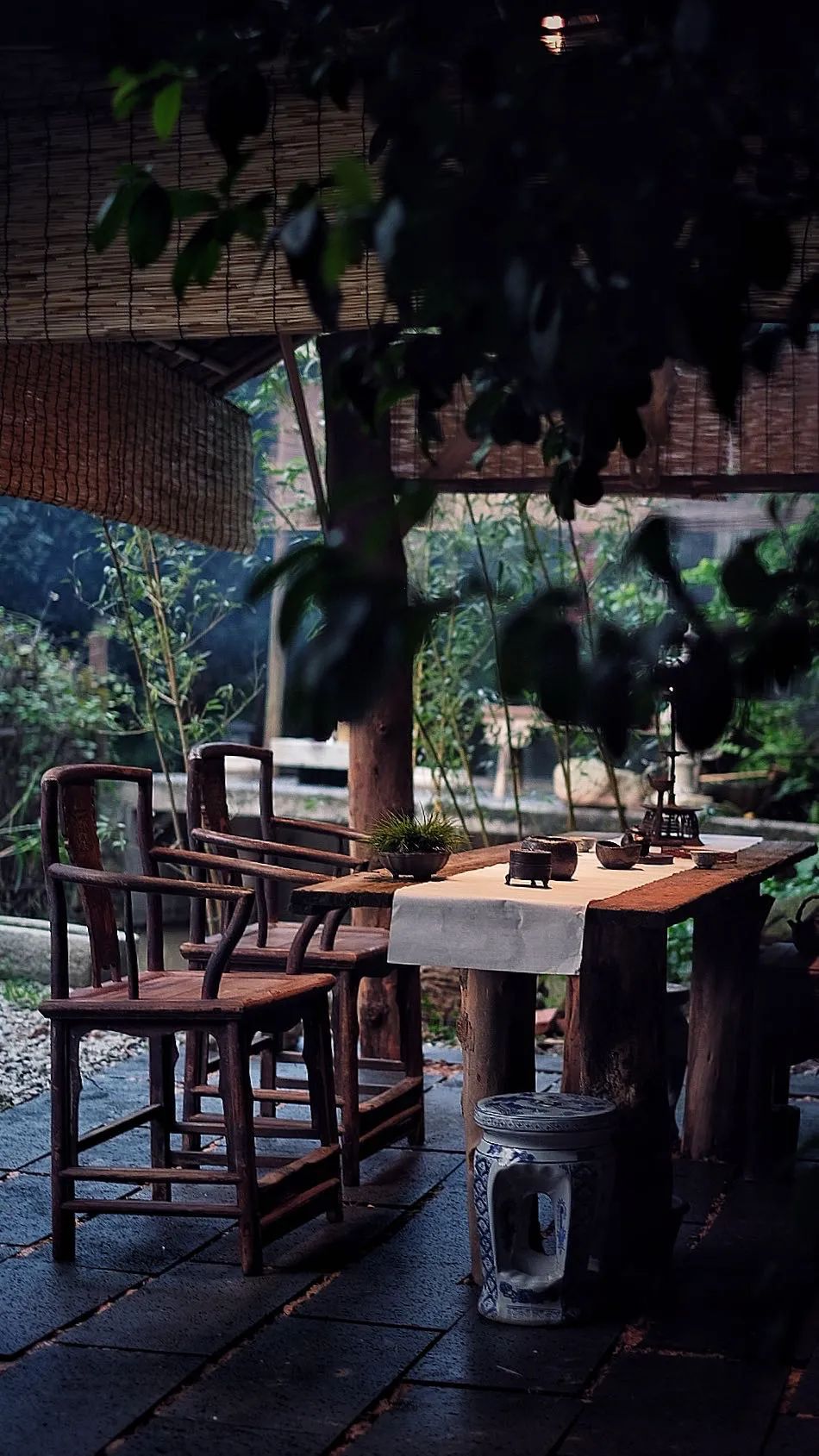 茶美文|口袋有钱，手中有书，杯中有茶