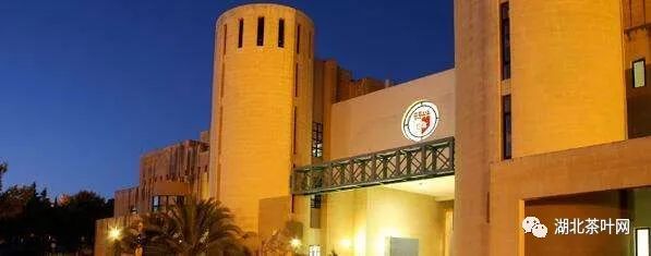 马耳他大学课堂茶香飘溢——记孔子学院举办“中国茶艺”文化体验活动