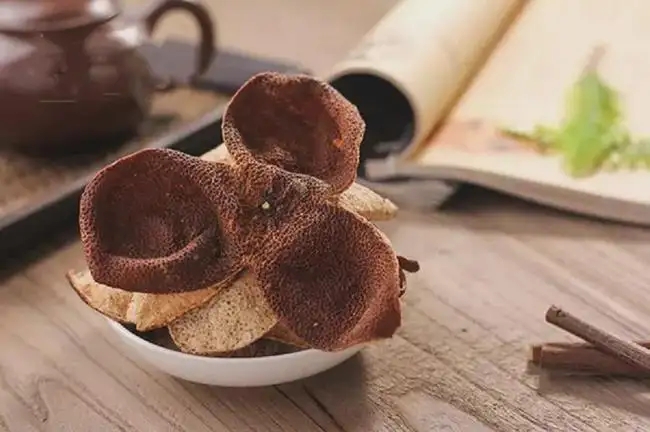 一块陈皮“带旺”特色农业