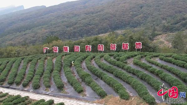 四川剑阁打造茶旅融合发展项目 助力乡村振兴