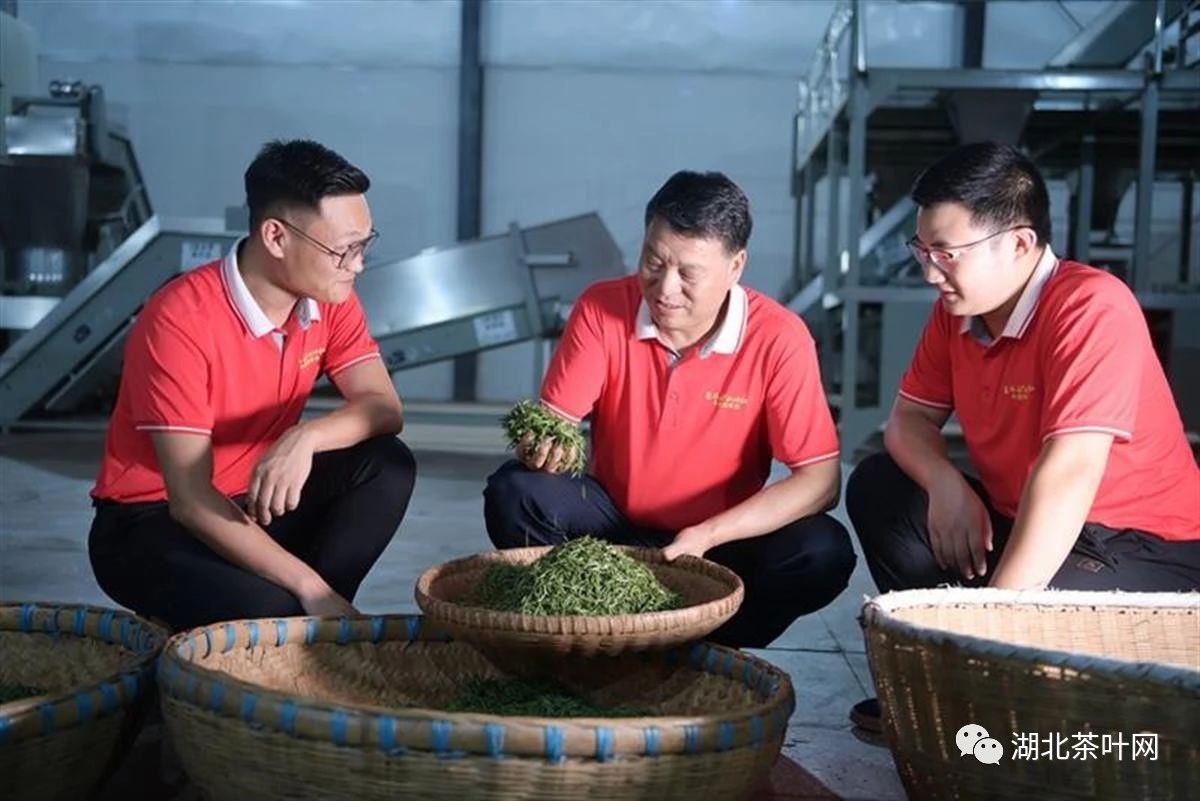 培育“利川红”！邱建红获评“国茶人物·制茶大师”