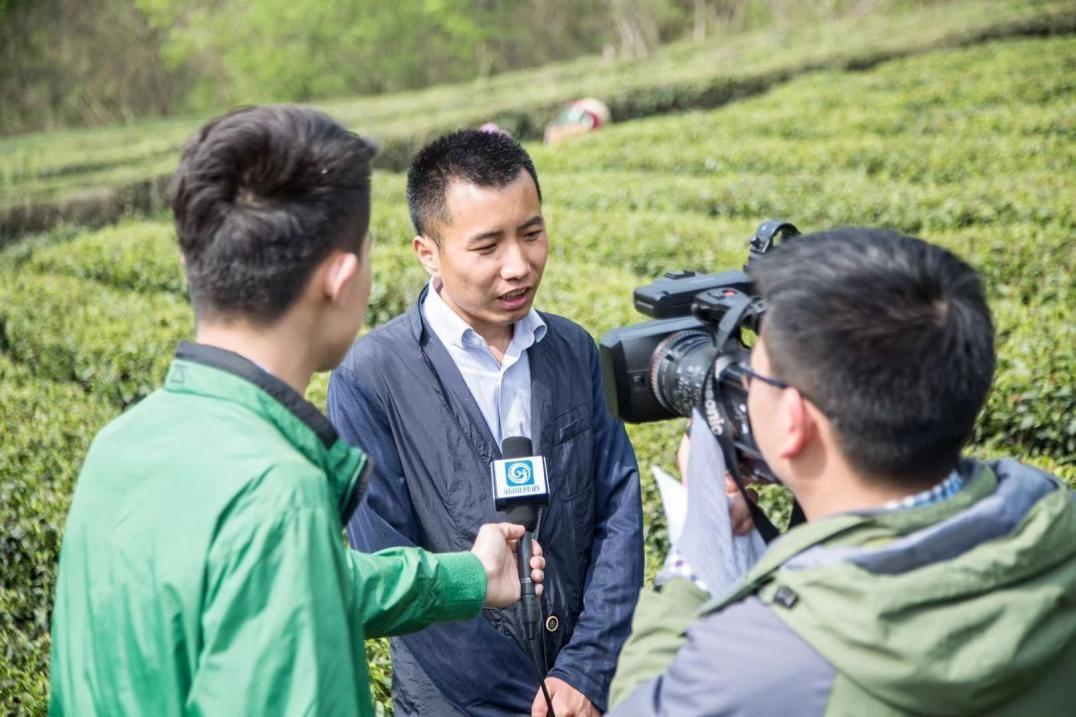 茶香弥漫振兴路 这位孝感市政协委员带领乡亲壮大周巷镇茶产业