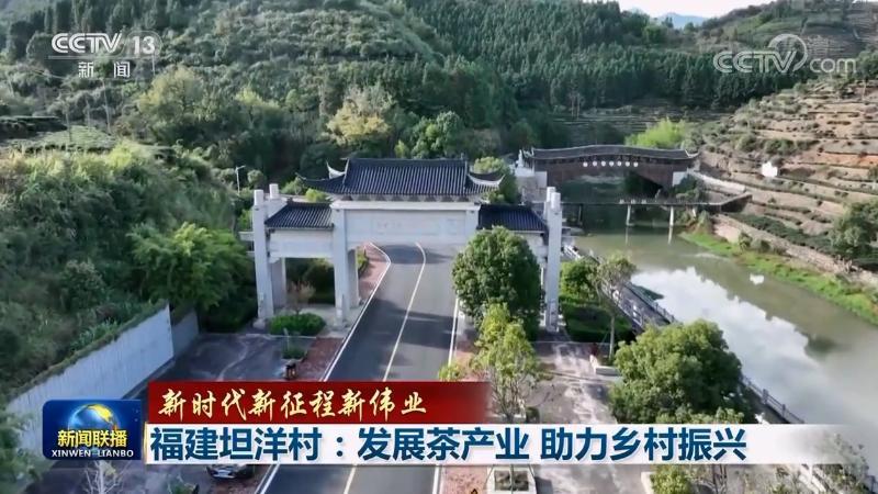 福建坦洋村：发展茶产业 助力乡村振兴