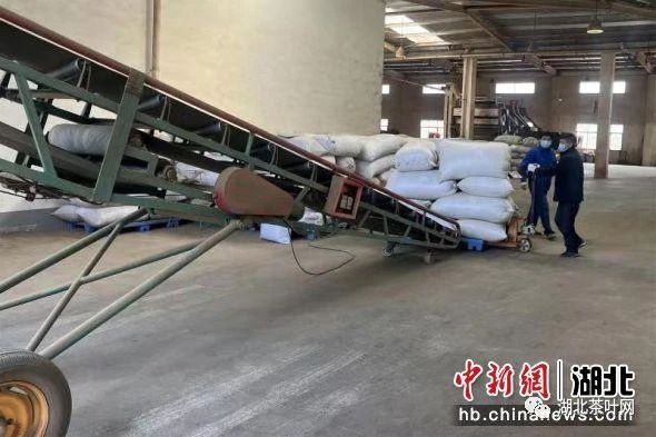 宜昌：“中国名茶之乡”邓村自营出口茶叶成功发车