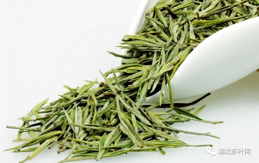 岳阳展示君山银针茶制作技艺